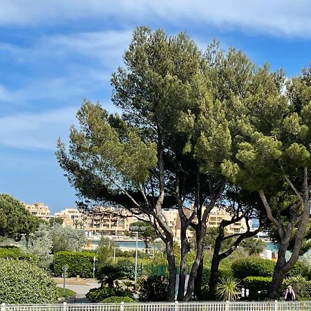 شقة My Little Provence Bormes Les Mimosas المظهر الخارجي الصورة
